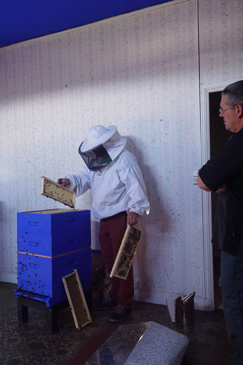La photographie montre Olivier Darné visitant les ruches de l'aile droite du Fam