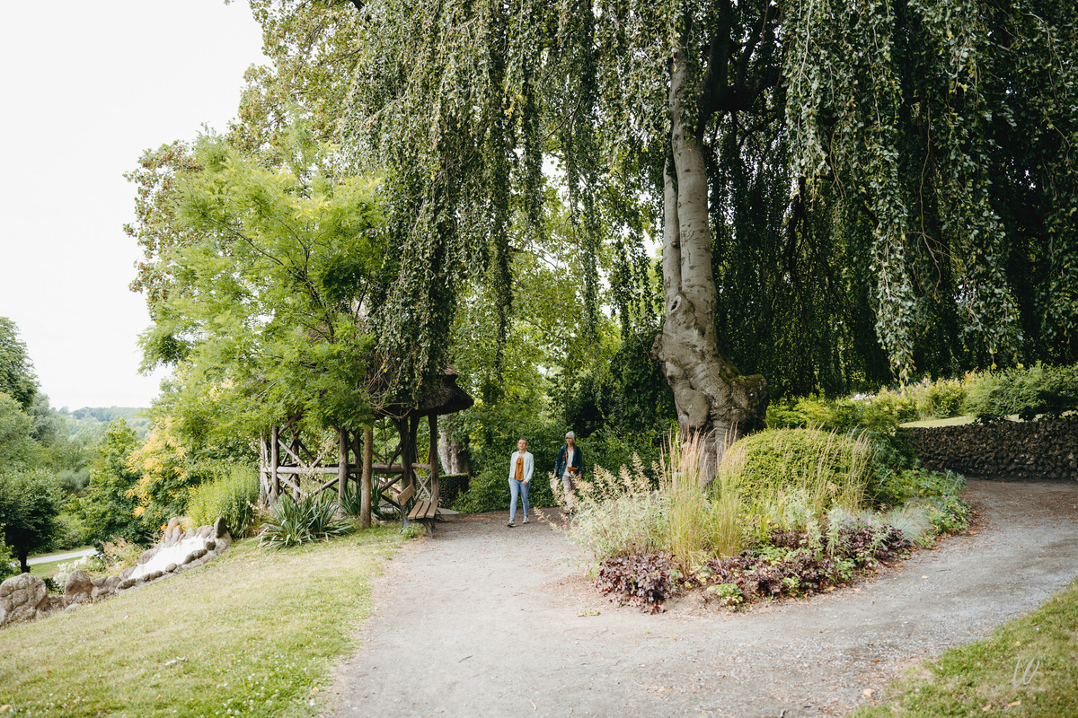 Balade au pied du hêtre pleureur à feuilles pourpres