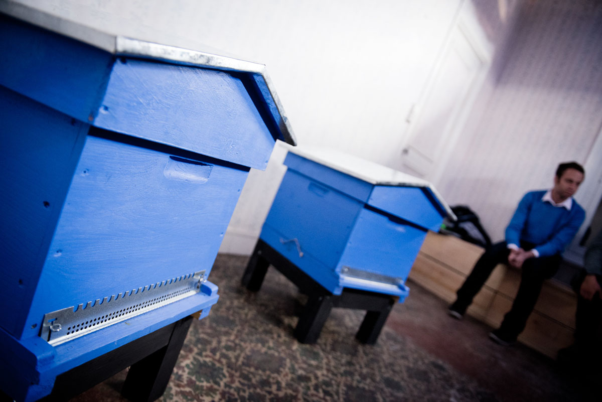 La photographie montre deux ruches bleues dans un appartement du Palais social