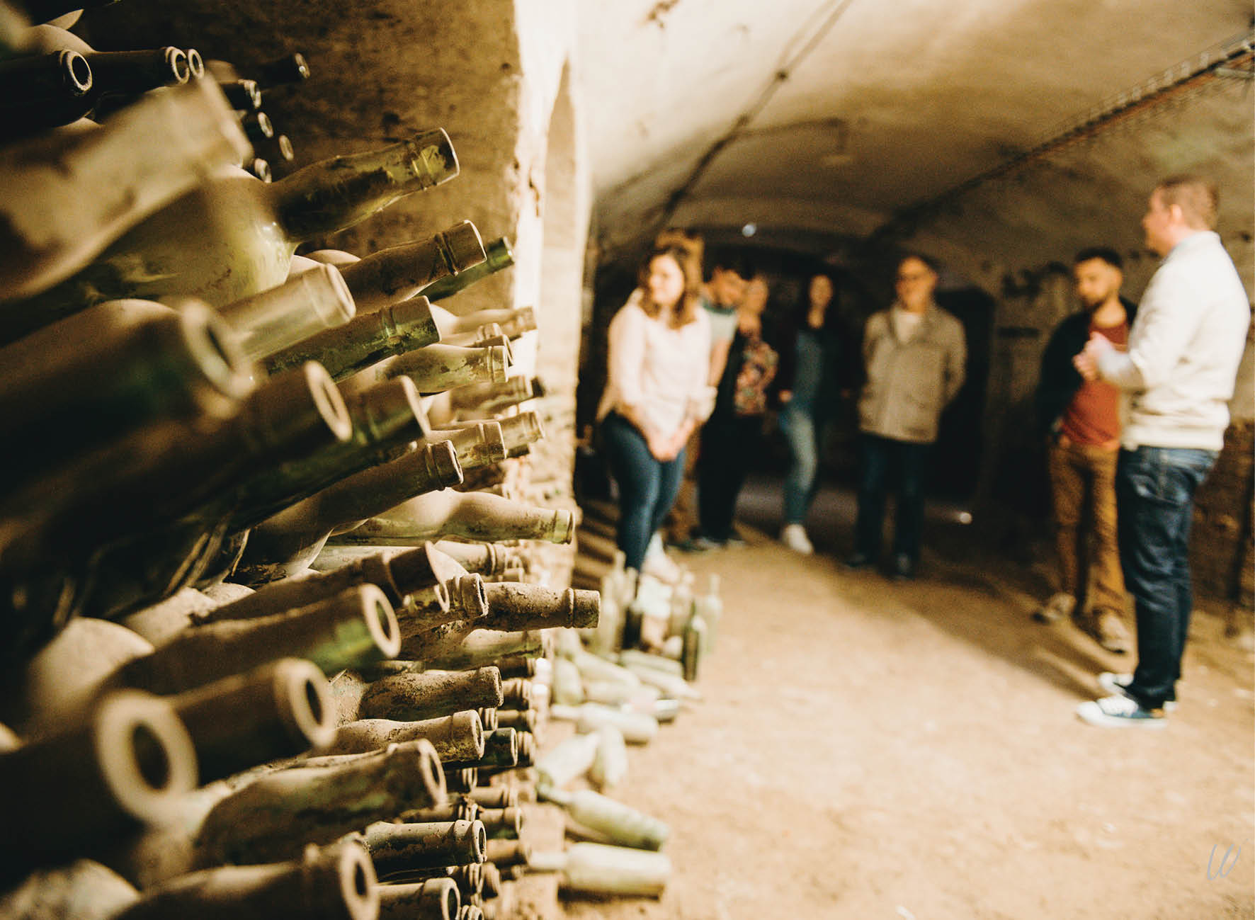 Bouteilles et visiteurs dans les caves du Familistère de Guise