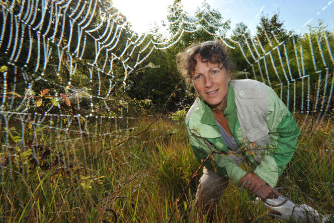 Christine Rollard, arachnologue.
